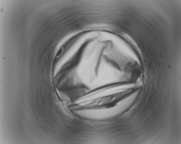 X0000082711336200702232246