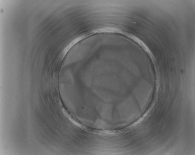 X0000082711337200702232246