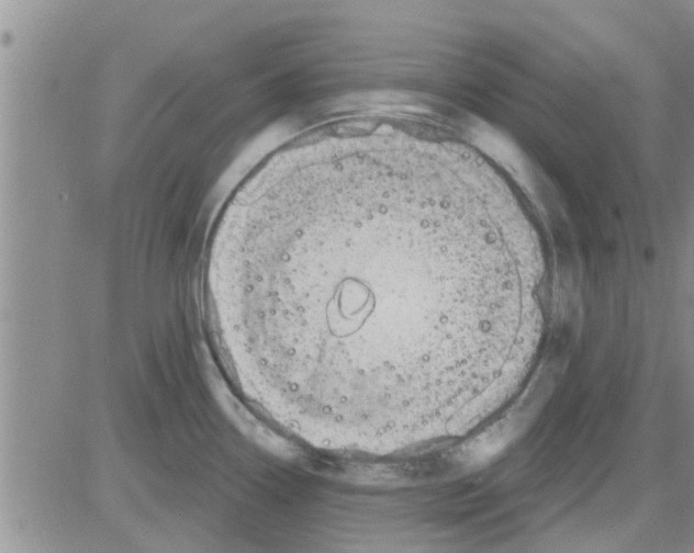 X0000082711338200702232246