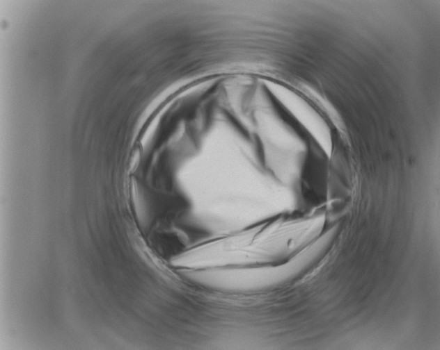 X0000082711340200702232246