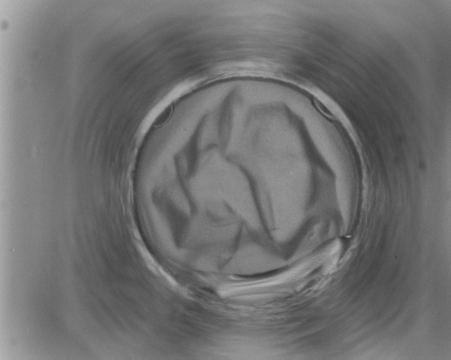 X0000082711341200702232246