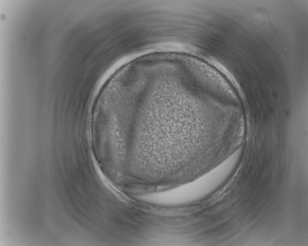 X0000082711342200702232246