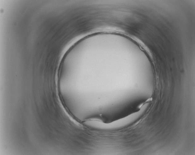 X0000082711343200702232246