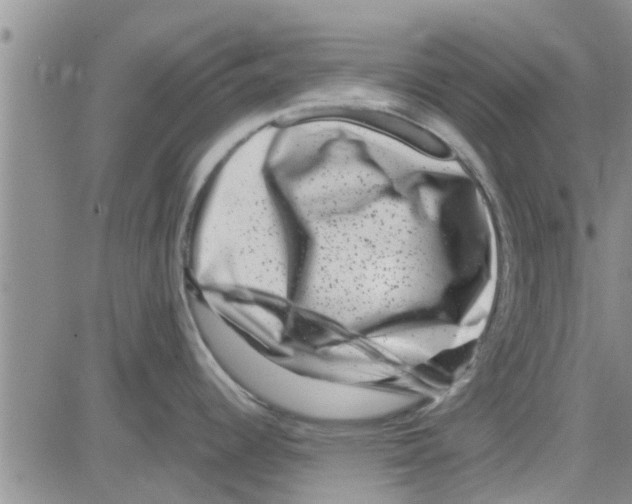 X0000082711344200702232246