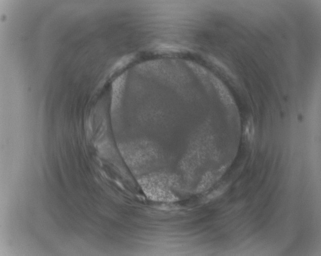 X0000082711348200702232245