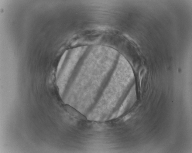 X0000082711349200702232245