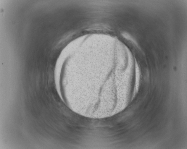 X0000082711350200702232245