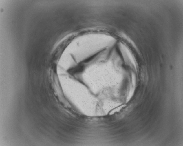 X0000082711352200702232245