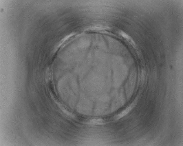 X0000082711353200702232245