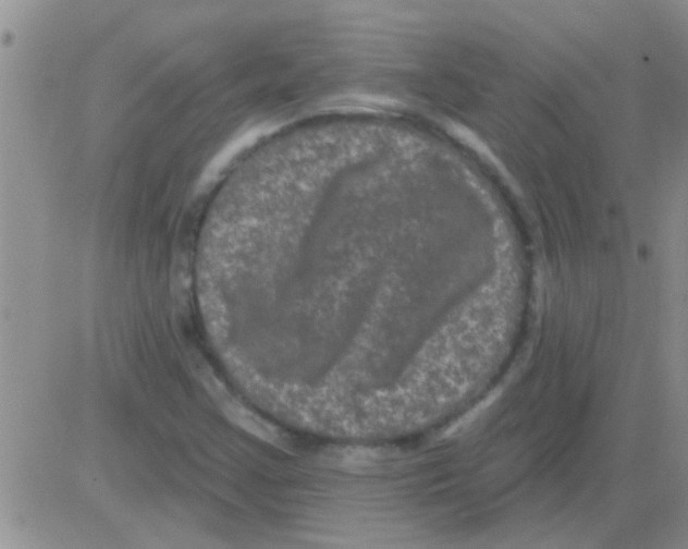 X0000082711355200702232245