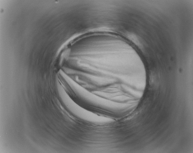 X0000082711356200702232245