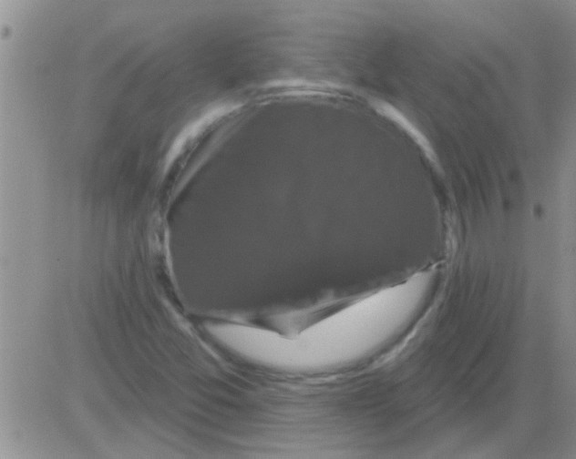 X0000082711357200702232245