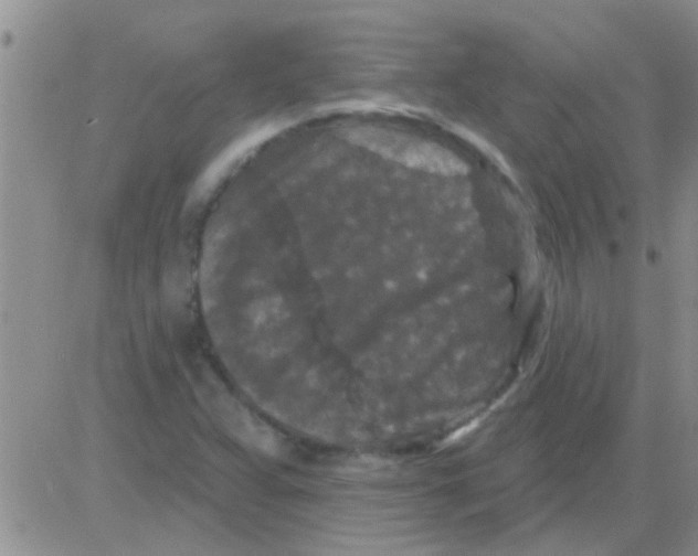 X0000082711359200702232245