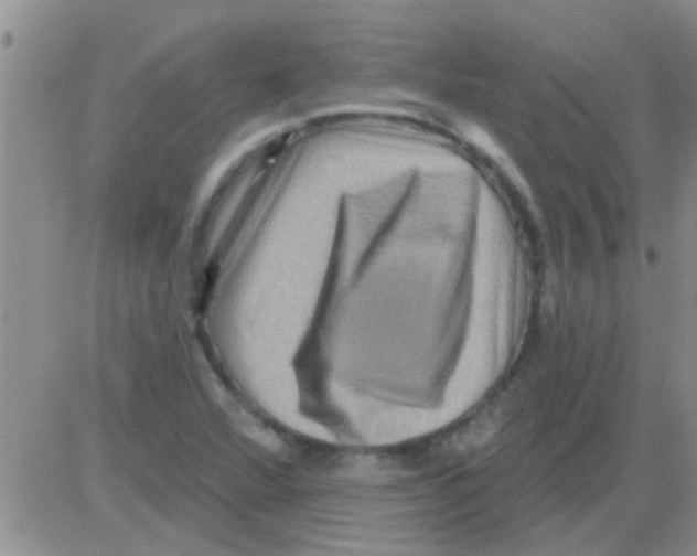 X0000082711360200702232245