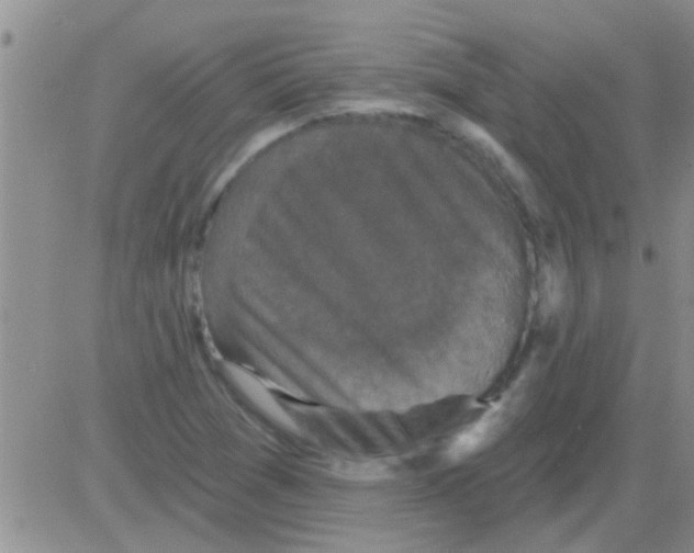 X0000082711361200702232245