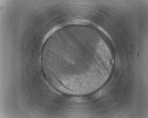 X0000082711362200702232245