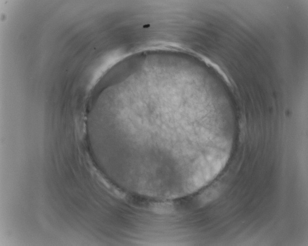 X0000082711363200702232245