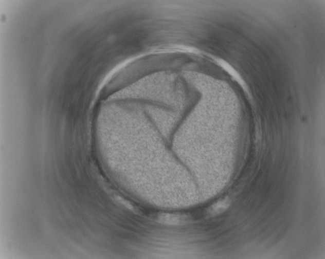 X0000082711364200702232245