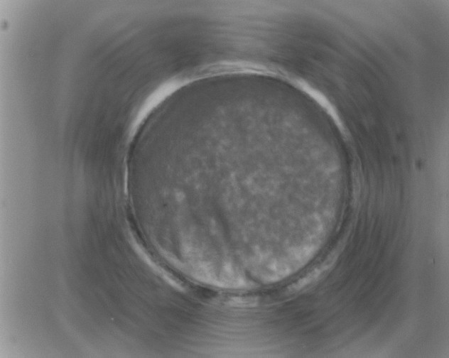 X0000082711365200702232245