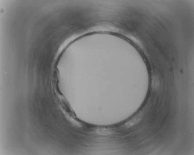 X0000082711366200702232245