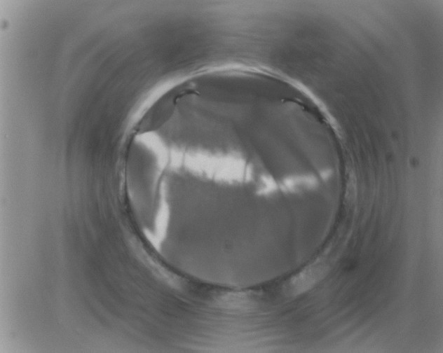 X0000082711367200702232245