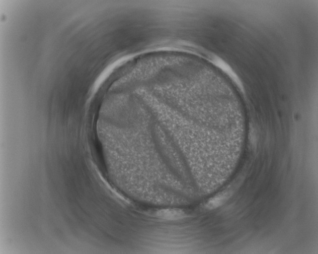 X0000082711368200702232245