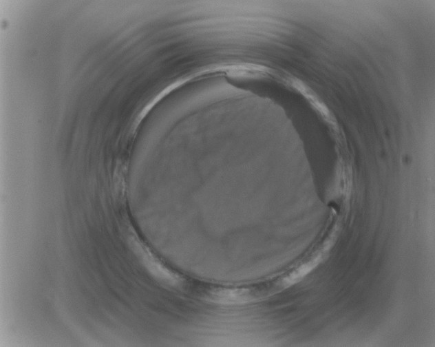 X0000082711369200702232245