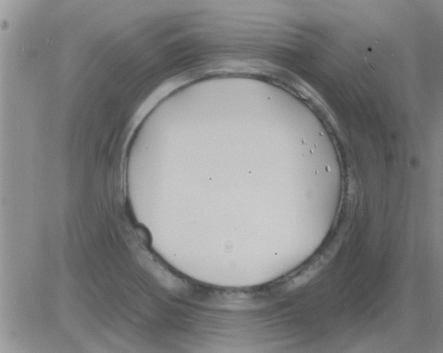 X0000082711370200702232245