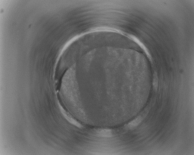 X0000082711372200702232245