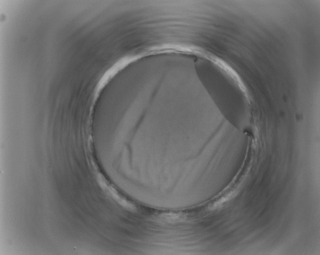 X0000082711373200702232245