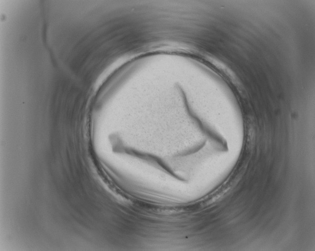 X0000082711375200702232245