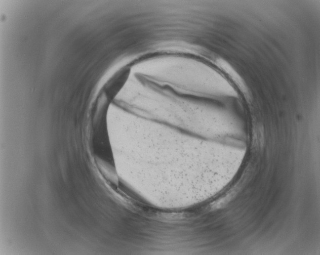 X0000082711376200702232245