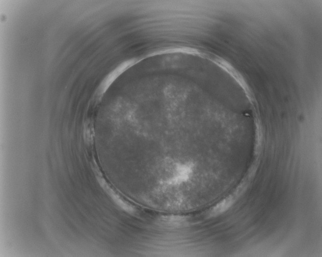 X0000082711377200702232245