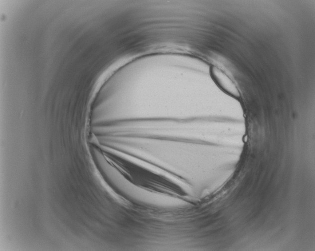 X0000082711379200702232245