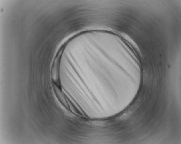 X0000082711380200702232245