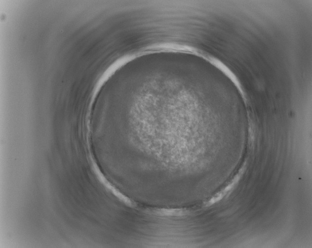 X0000082711381200702232245