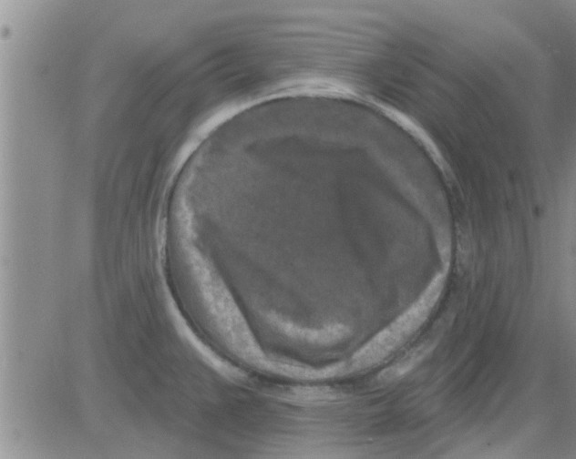 X0000082711383200702232245