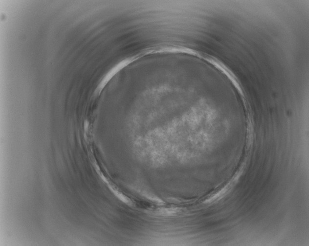 X0000082711385200702232245