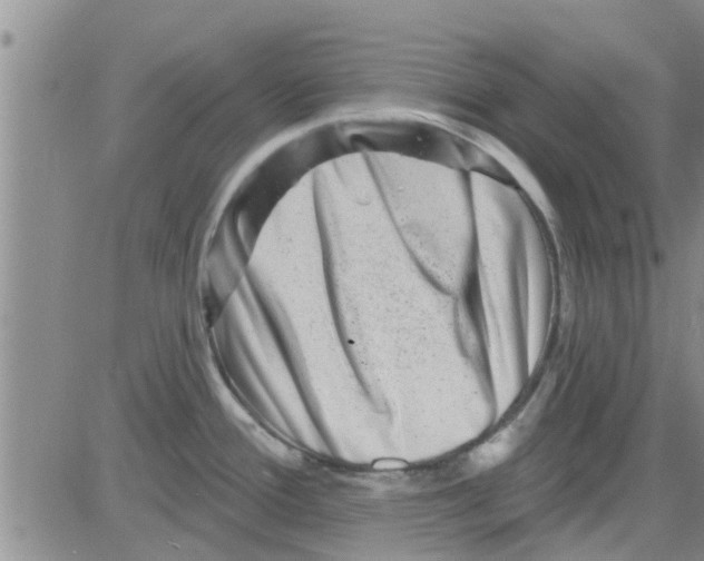 X0000082711388200702232245