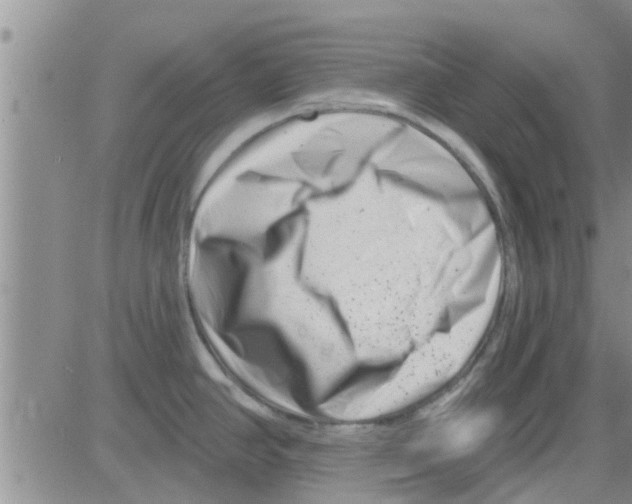 X0000082711390200702232245