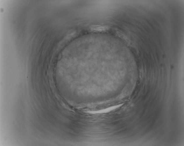 X0000082711393200702232244