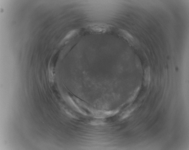 X0000082711394200702232244