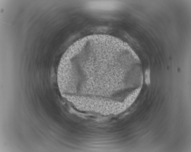 X0000082711395200702232244