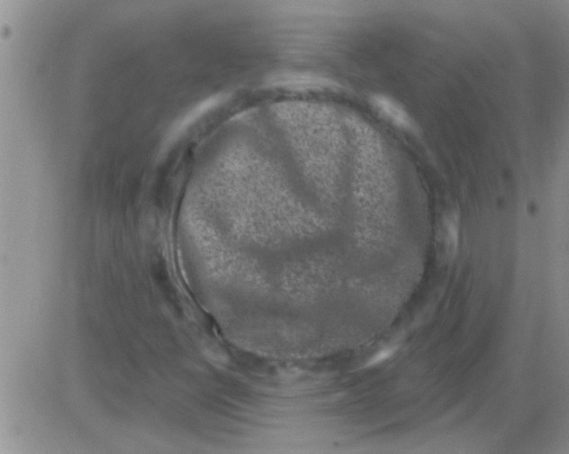 X0000082711398200702232244