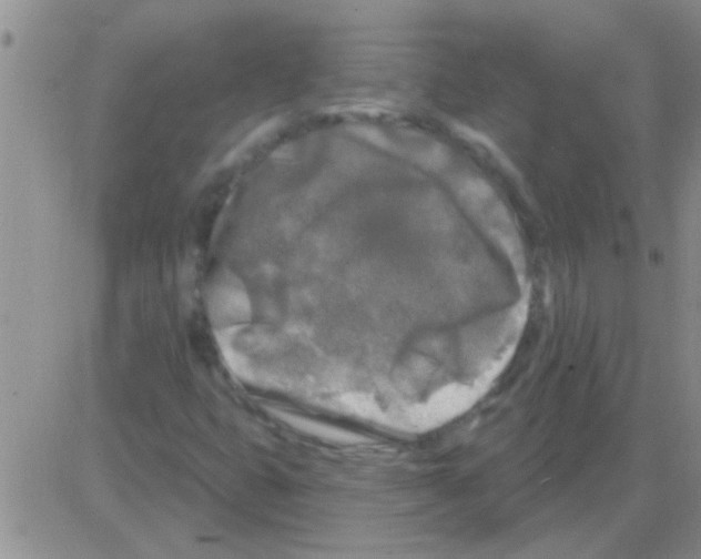 X0000082711399200702232244