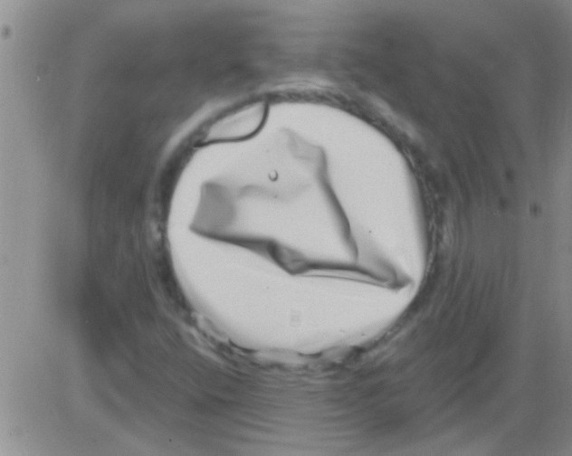 X0000082711400200702232244