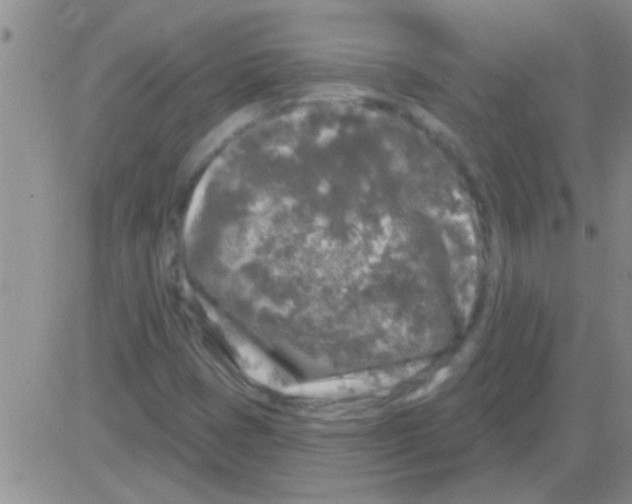 X0000082711401200702232244