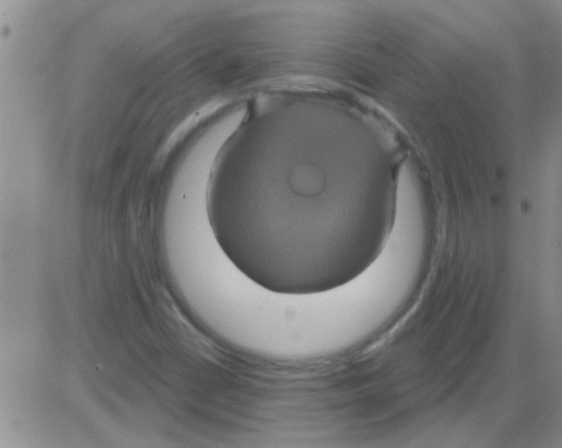 X0000082711402200702232244