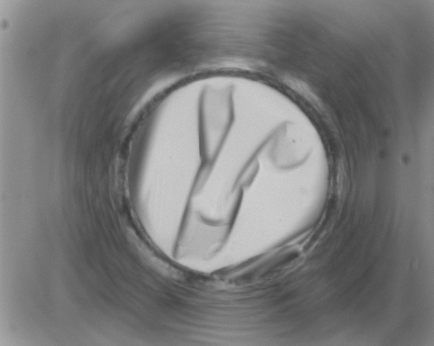 X0000082711404200702232244