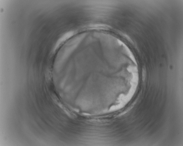 X0000082711405200702232244